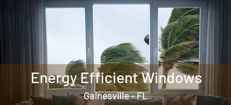  Energy Efficient Windows Gainesville - FL